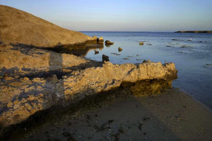 Mangrove Bay