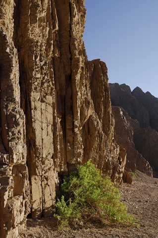 Wadi Qnai