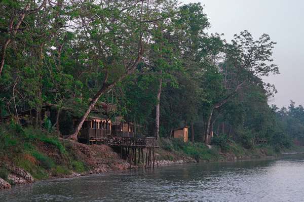 Island Jungle Resort